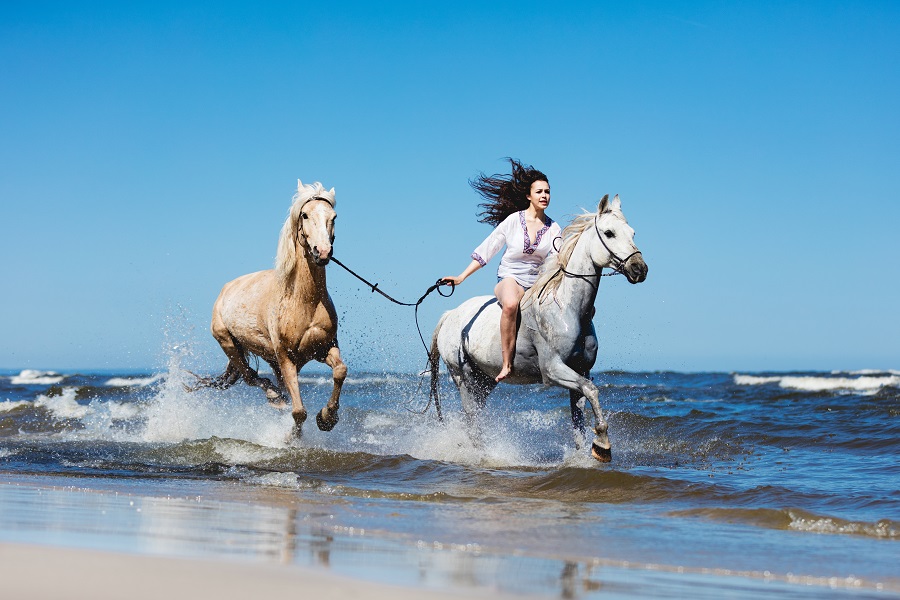 Girl galopading through the ocean waves with two horses. Wildness and freedom.